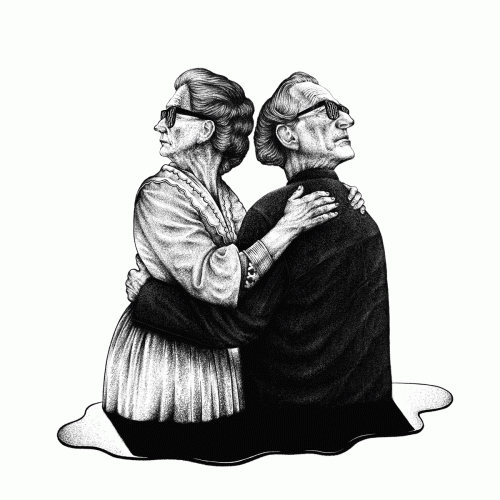 Not Scientists : Voices